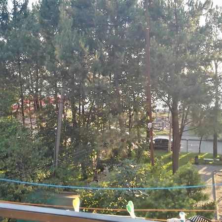 Apartment Agmashenebeli 99 コブレチ エクステリア 写真