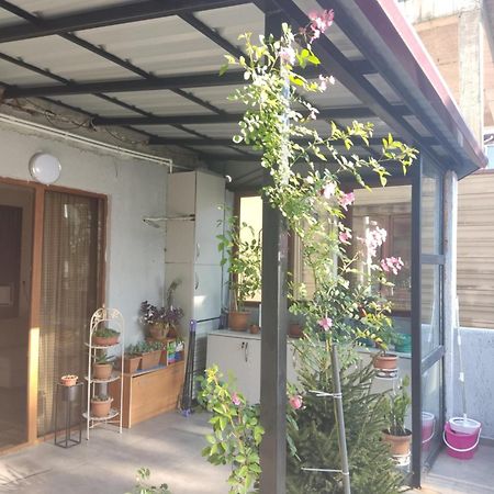 Apartment Agmashenebeli 99 コブレチ エクステリア 写真