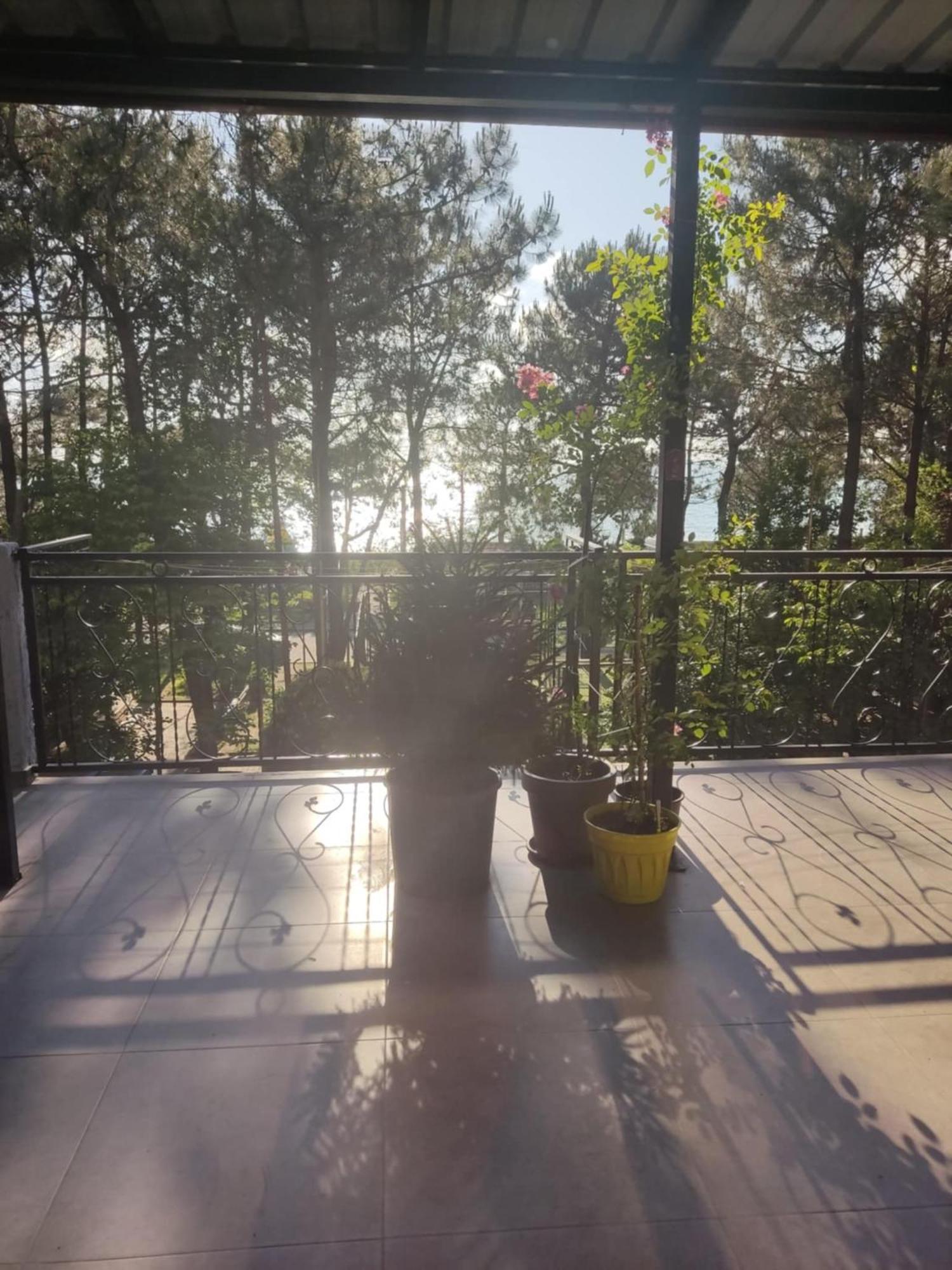 Apartment Agmashenebeli 99 コブレチ エクステリア 写真
